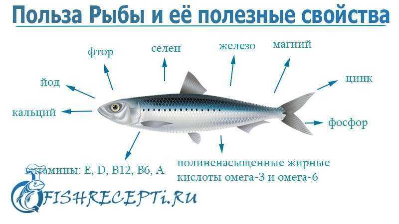 Топ-10 видов нежирной и недорогой рыбы для похудения