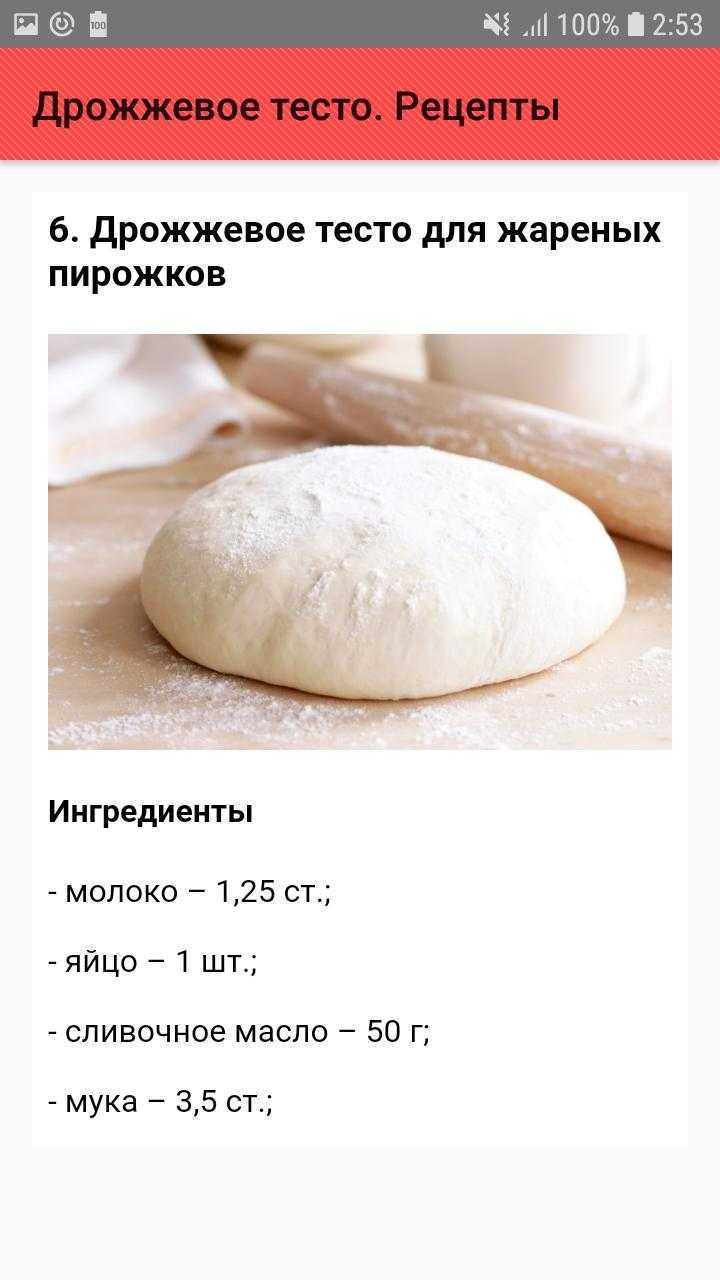 Приготовление теста без дрожжей. как сделать бездрожжевое тесто на пирожки, пироги, булочки, слойки, для пиццы, хлеба: лучшие рецепты