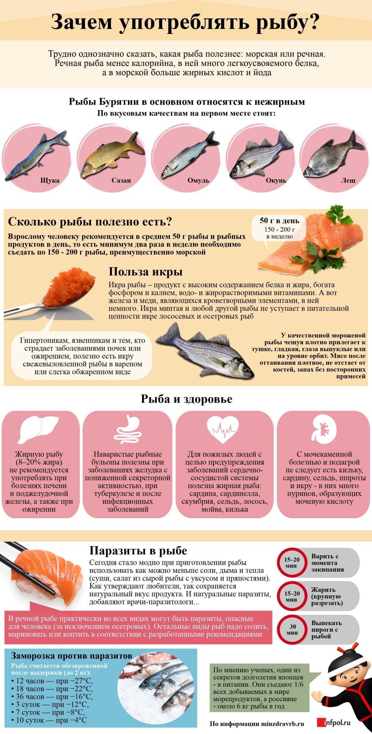 Какая рыба полезнее для организма, самые полезные сорта рыбы