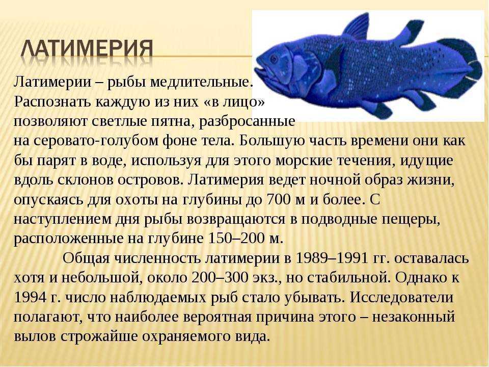 Кистеперая рыба живое ископаемое палеозойской эры