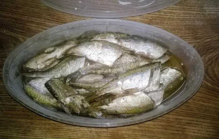Шпроты это какая рыба