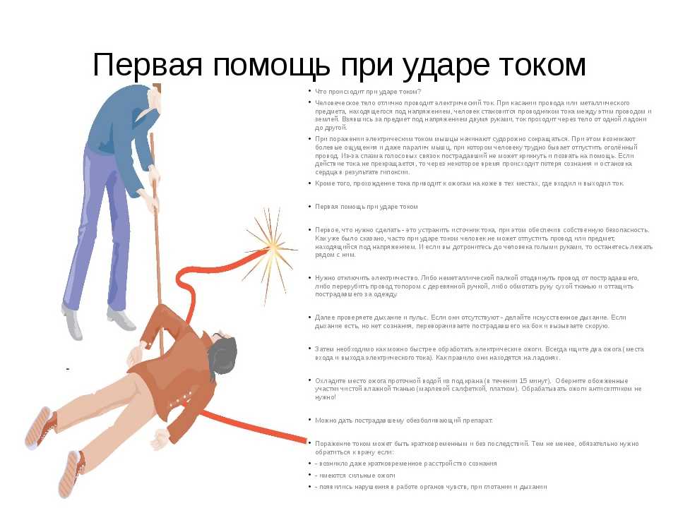Класс хрящевые рыбы - умскул учебник