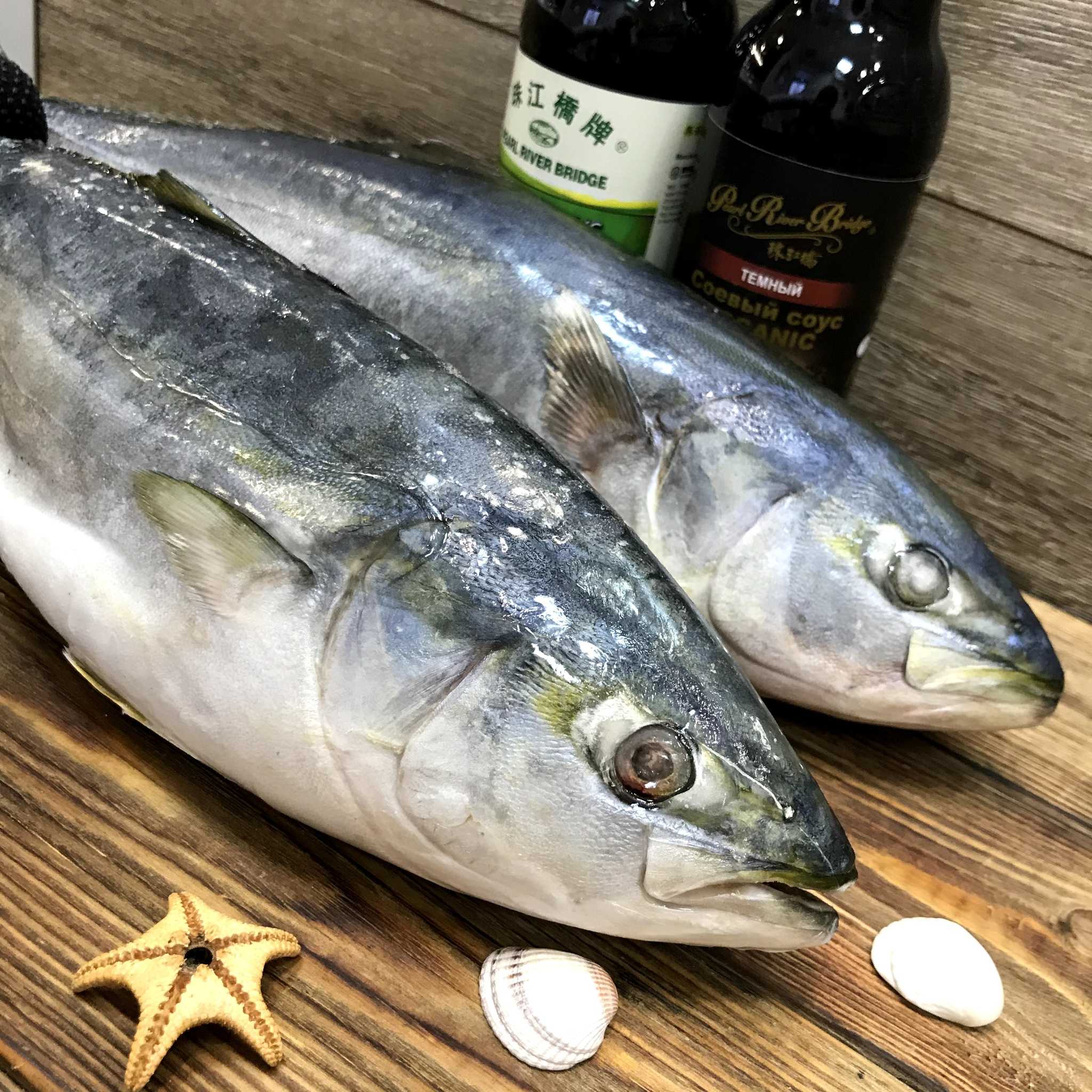 Как вкусно приготовить желтохвостого тунца