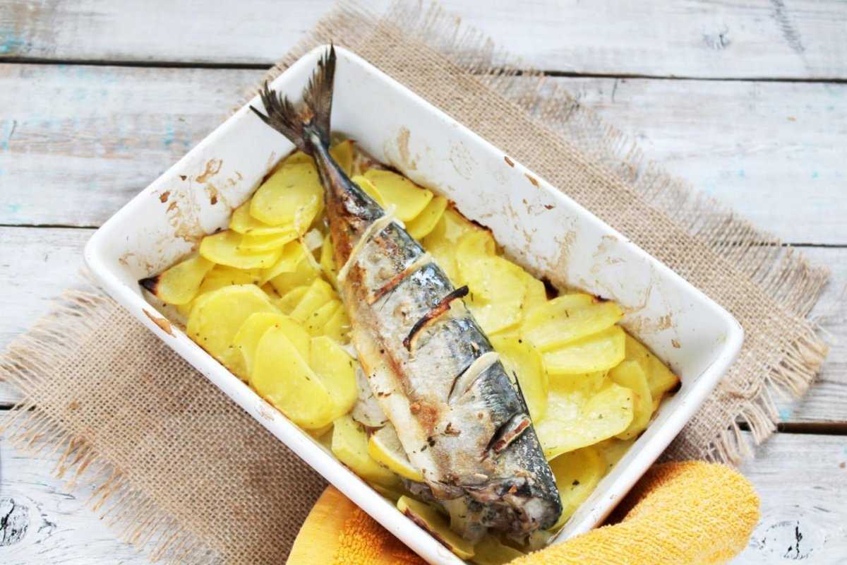 Скумбрия, запеченная в духовке с картошкой: 4 рецепта с фото