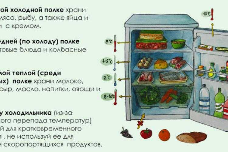 Как хранить копченую рыбу: можно ли заморозить копчености в домашних условиях
