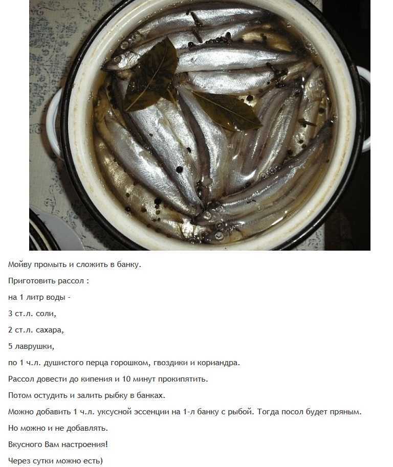 Как засолить вкусную горбушу дома – 10 быстрых рецептов (рыба получается как семга)