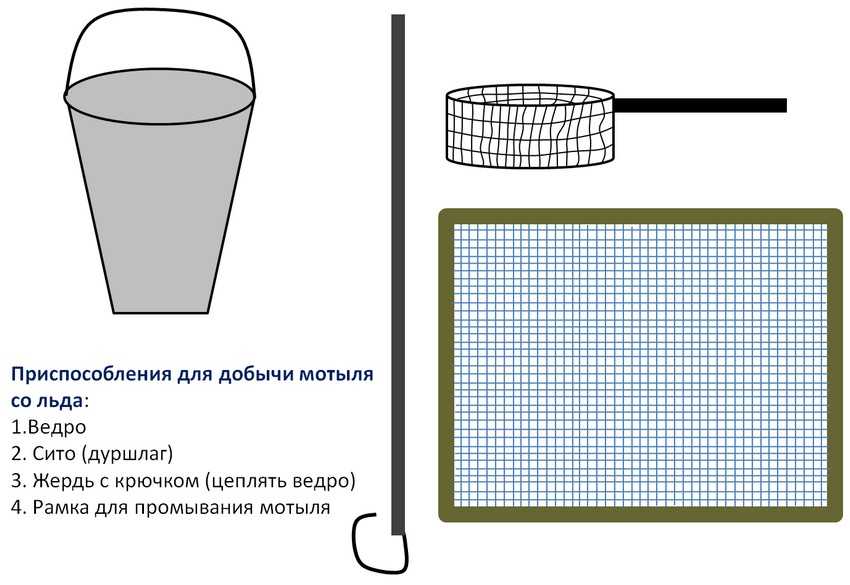 Мотыль для рыбалки: способы добычи и хранения, места обитания мотыля, ловли, как насаживать на крючок и намыть личинки