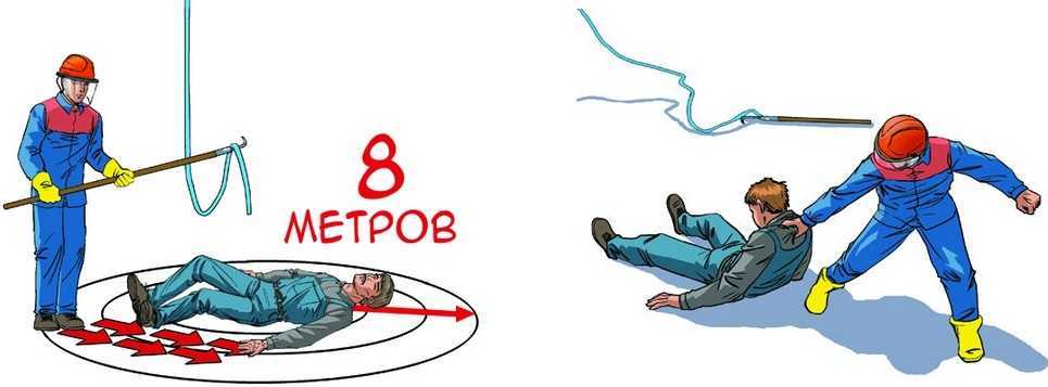 Смертельное оружие и фантастический скелет: 7 фактов о рыбах скатах - экстремально - 9 декабря - 43592881944 - медиаплатформа миртесен