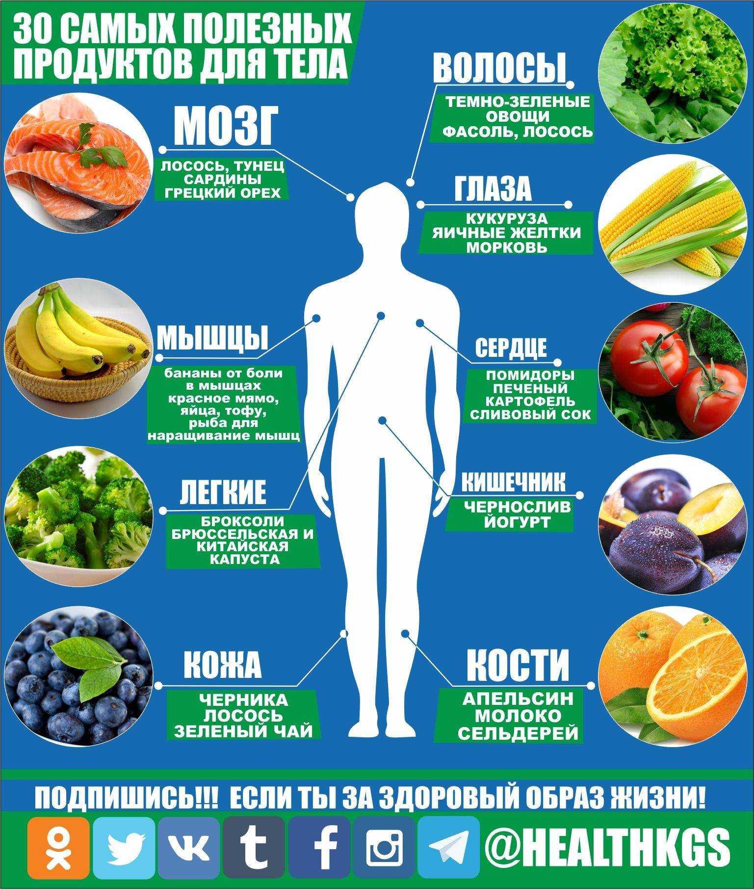 Какая рыба полезнее для организма, самые полезные сорта рыбы