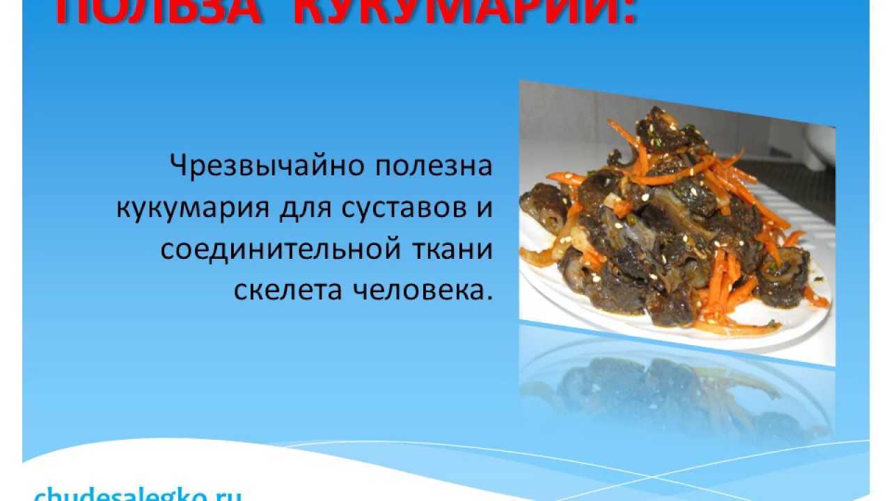 Кукумария: полезные свойства, противопоказания, рецепты
