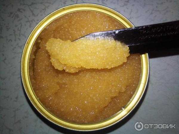 Икра минтая пробойная соленая: польза и вред для здоровья человека. что значит пробойная икра? какая есть еще