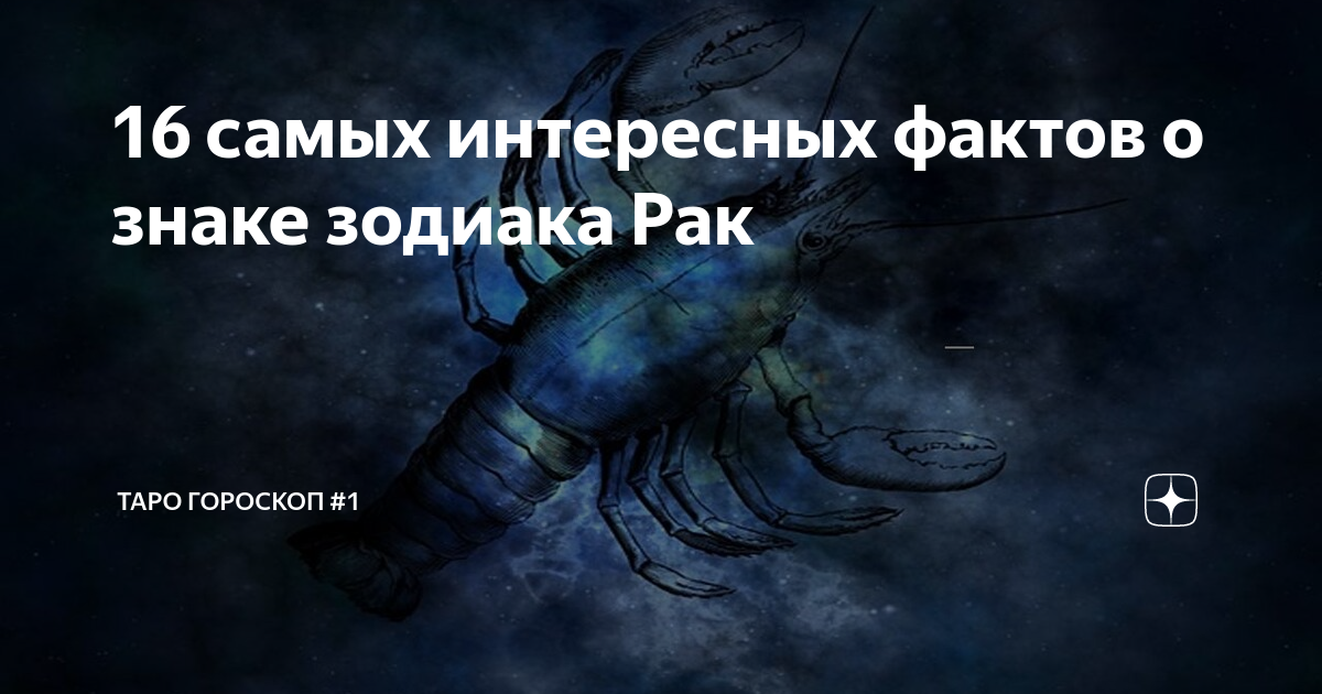 Интересные факты о представителях ракообразных | интересный сайт