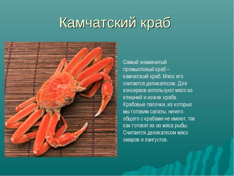 Краб, как деликатес: вкус, польза, рецепт приготовления