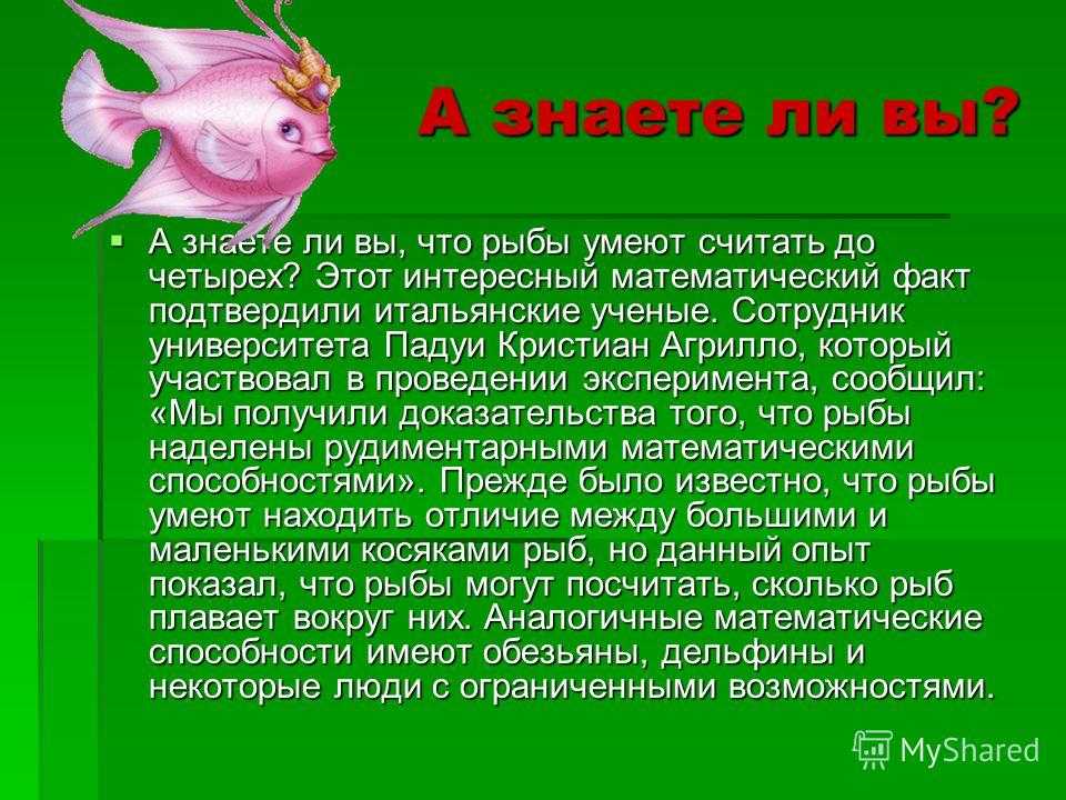 Зрение у рыб кратко