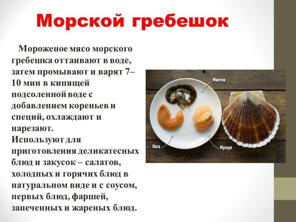 Блог