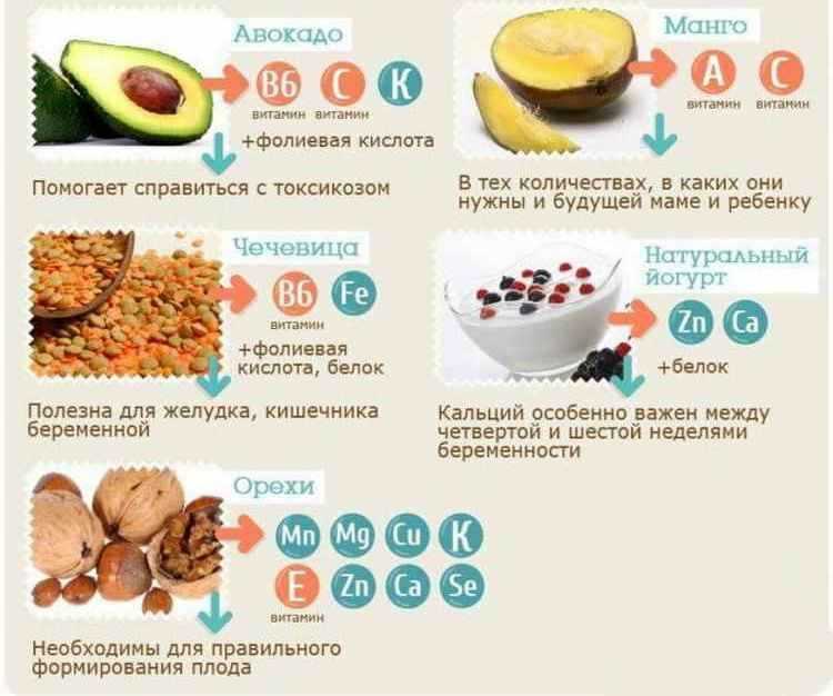 Морская капуста — польза и вред, лечебные свойства, калорийность