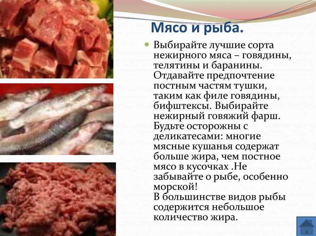Деликатесные рыбы идеально подходящие для сушки и засаливания