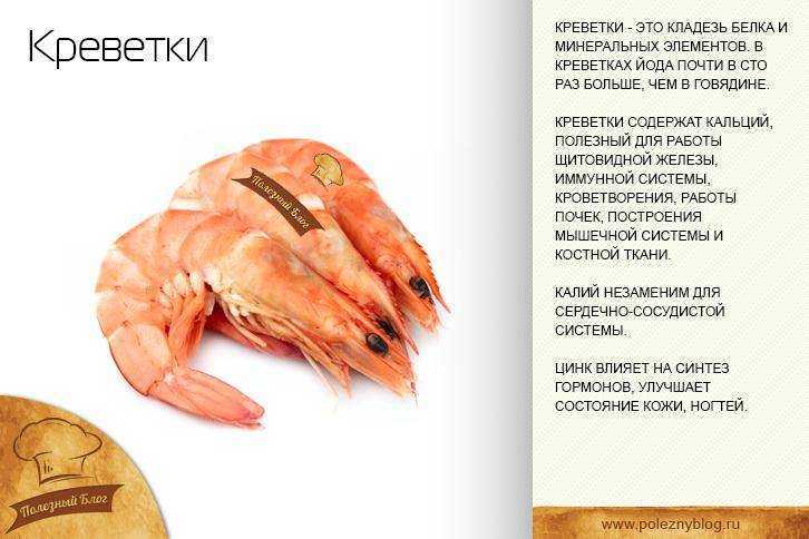 Таблица калорийности основных продуктов питания | культура здоровья