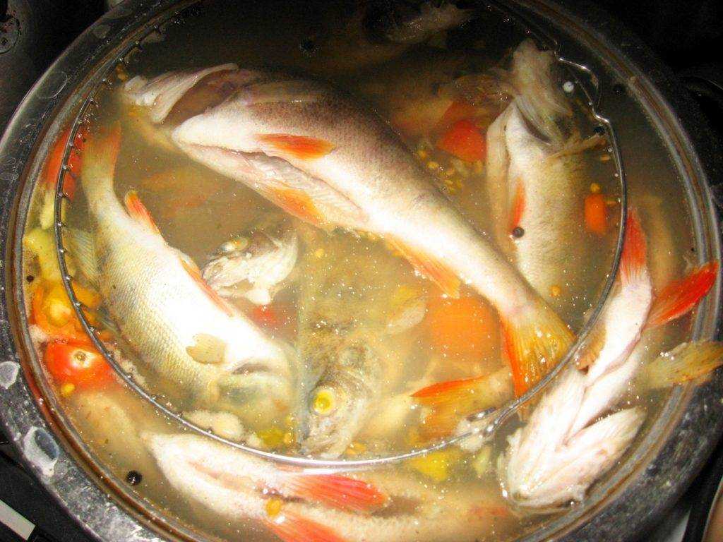 Согревающая уха из морского окуня с яркими овощами