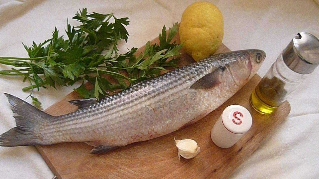 Как лучше приготовить кефаль - вкусные рецепты и советы