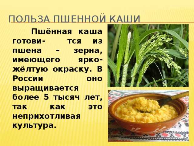 20 простых рецептов пшенной каши на молоке