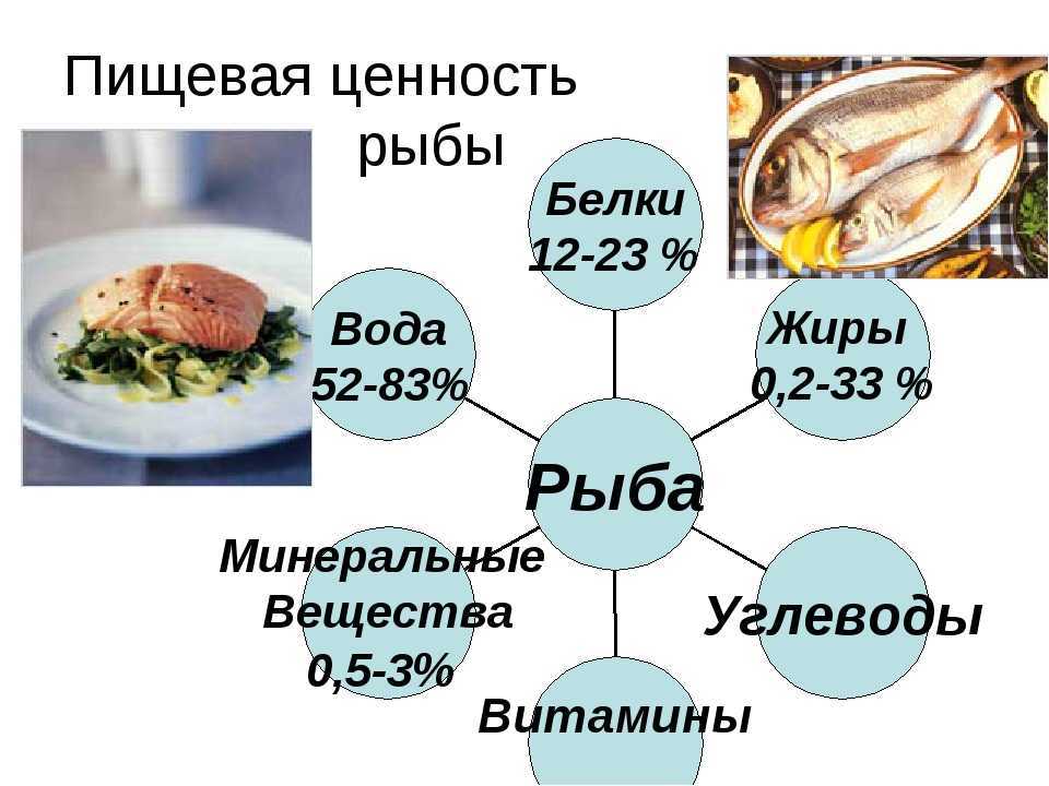 Рыба – чем полезна для человека. самая полезная рыба. какие имеются противопоказания. топ-10 самых полезных рыб для человека