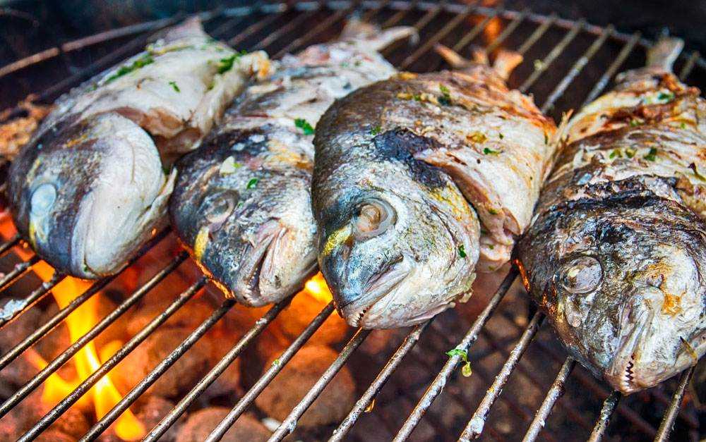 12 рецептов форели на мангале для любителей вкусно покушать