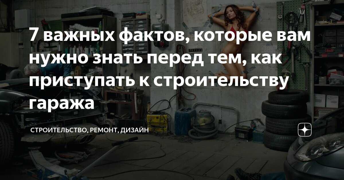Мечехвост фото и описание - животные