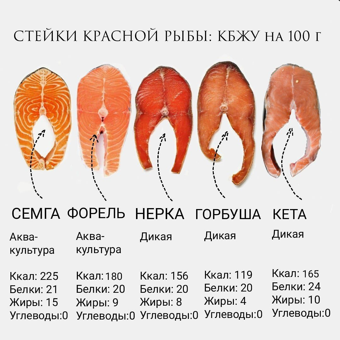Горбуша – калорийность и состав, польза и вред рыбы для организма