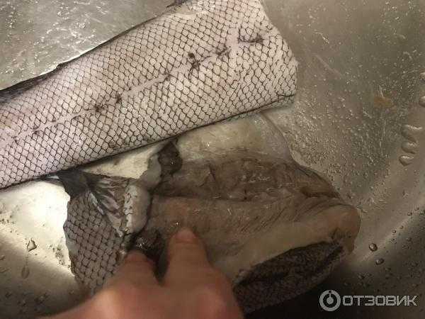 Национальные рыбные ресурсы