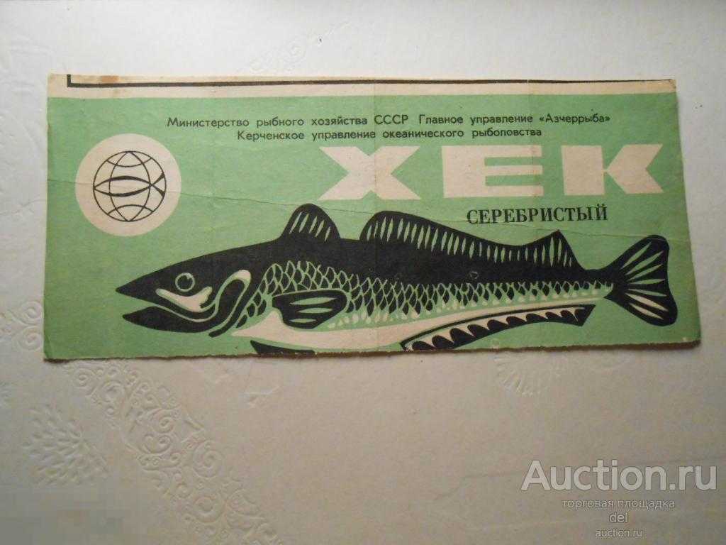 Последний улов. почему в океанах скоро не останется рыбы?