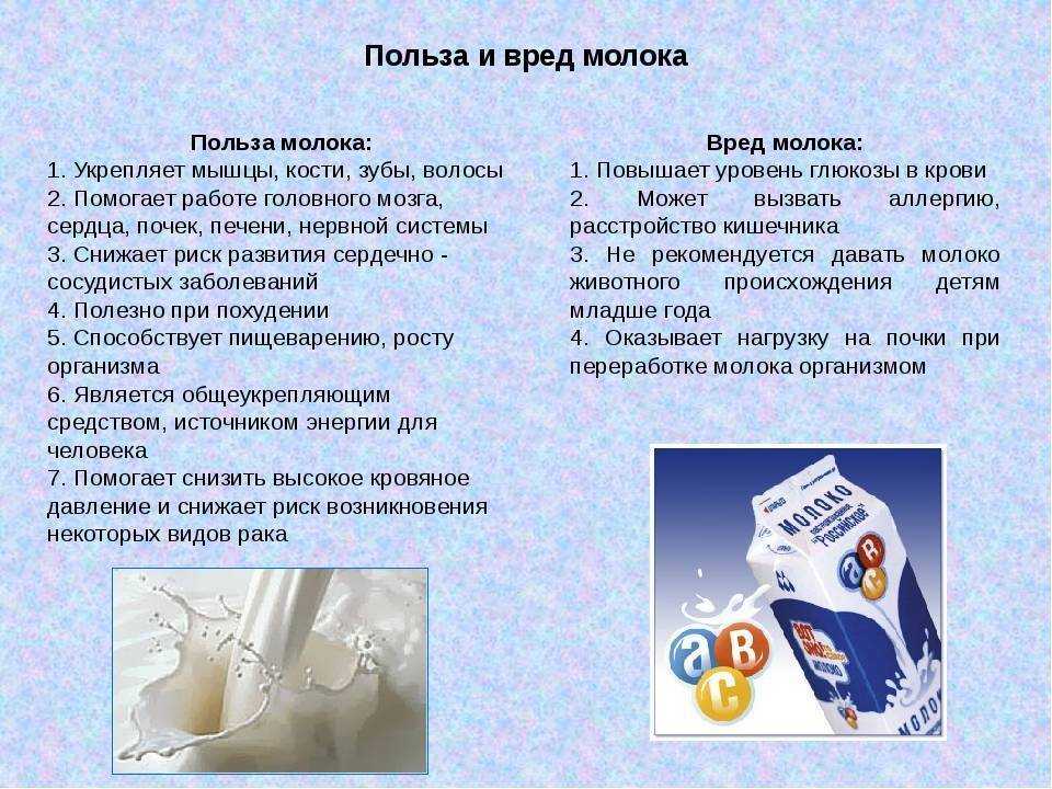 О пользе и вреде молок лососевых рыб