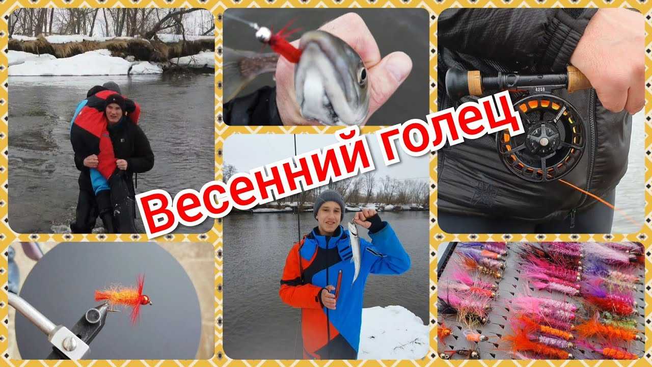 Ловля гольца: рекомендации профессионалов