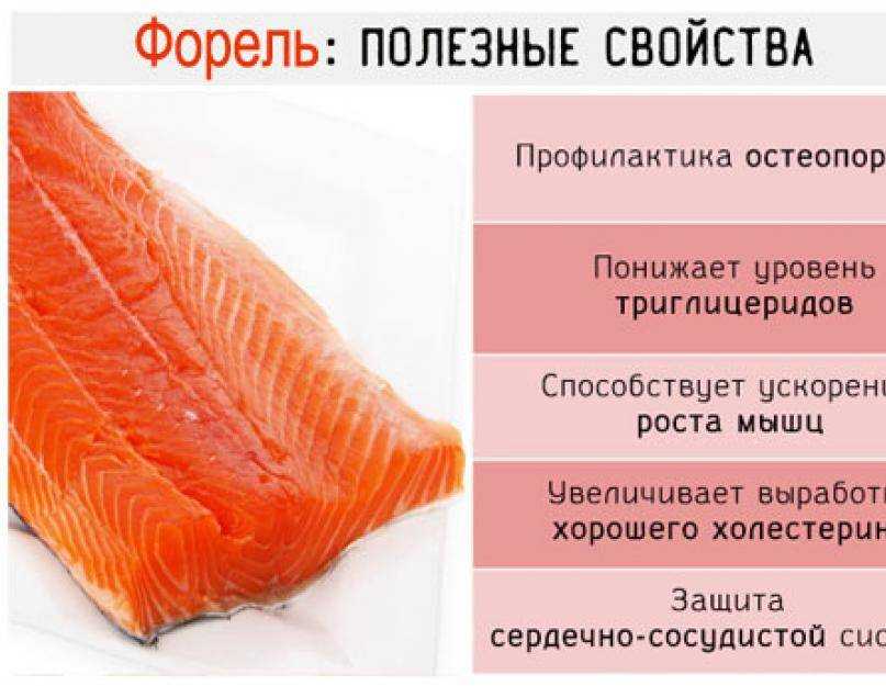 Из за чего жареная семга горчит