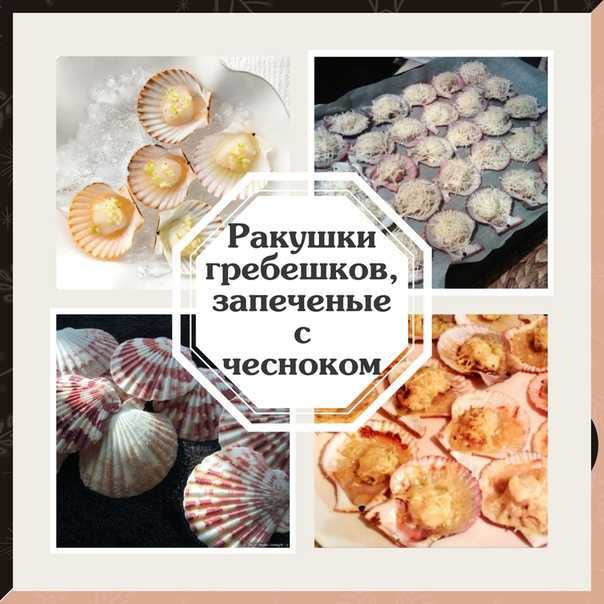 Морские гребешки