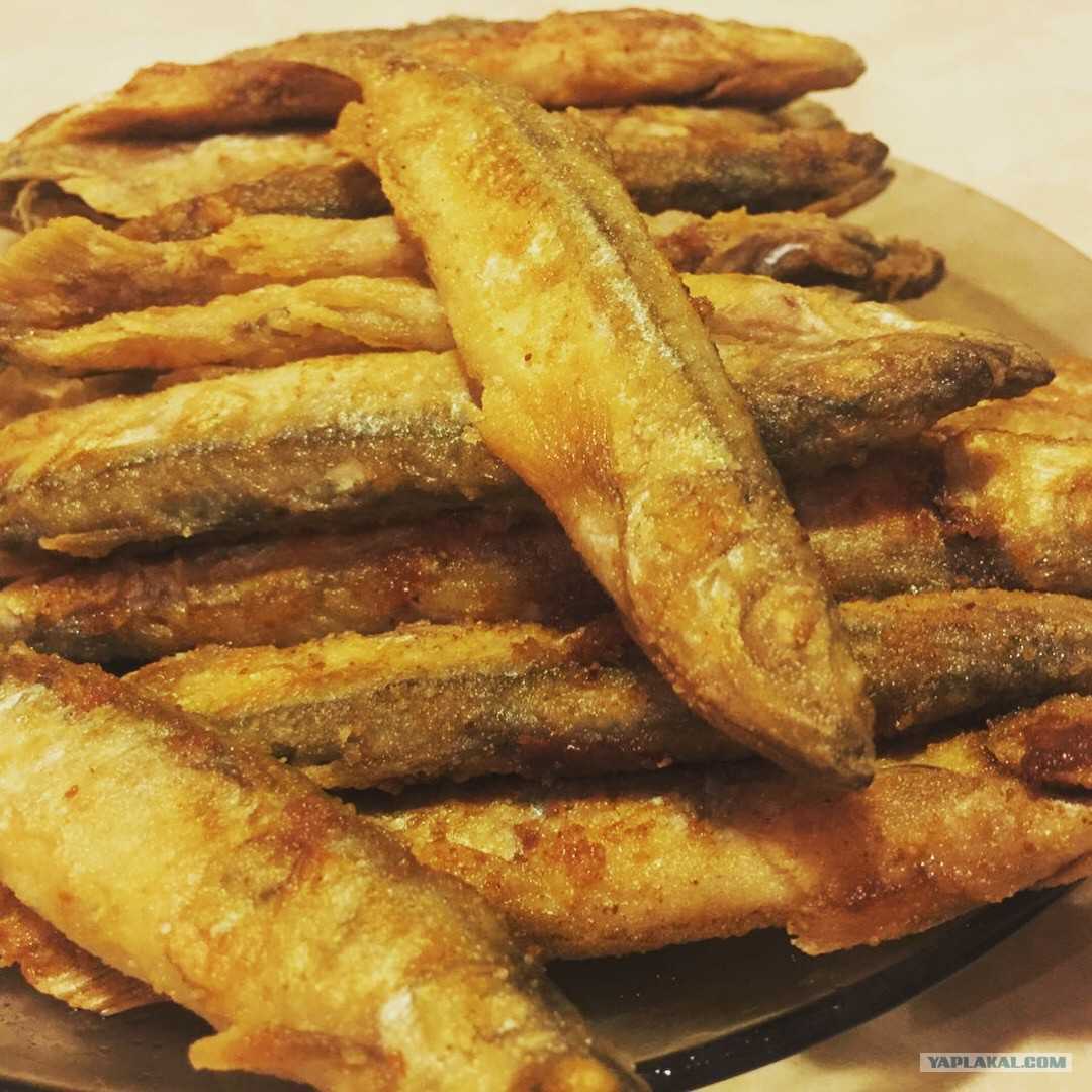 Как быстро и правильно пожарить вкусную мойву на сковороде