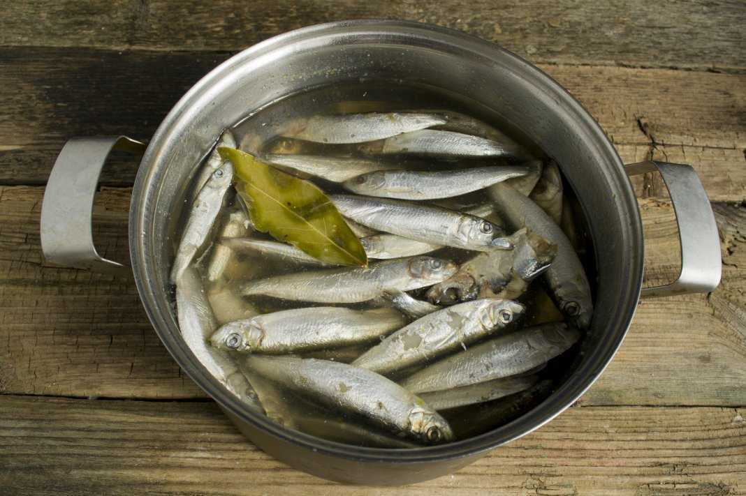 Мойва пряного посола по-домашнему со вкусом лучше магазинной