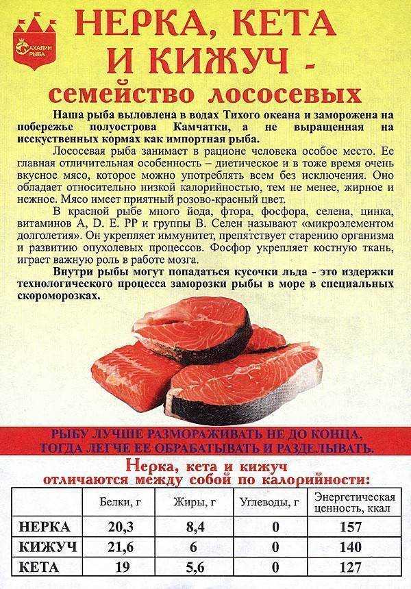 Основная информация о красной рыбе кижуч: где обитает, польза и вред, рецепты приготовления