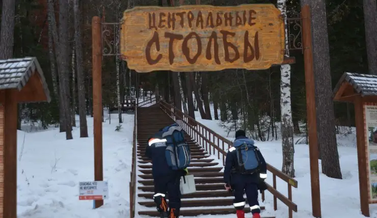 Как и сколько варить говяжье сердце - какое время нужно для варки, как и сколько варить | mohitto.ru