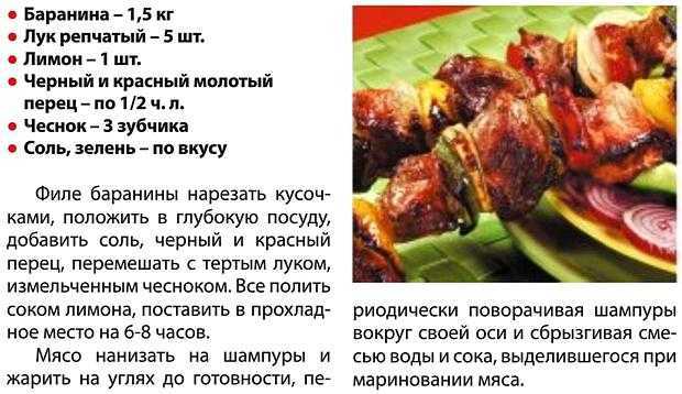 Шашлык из косули: простые рецепты