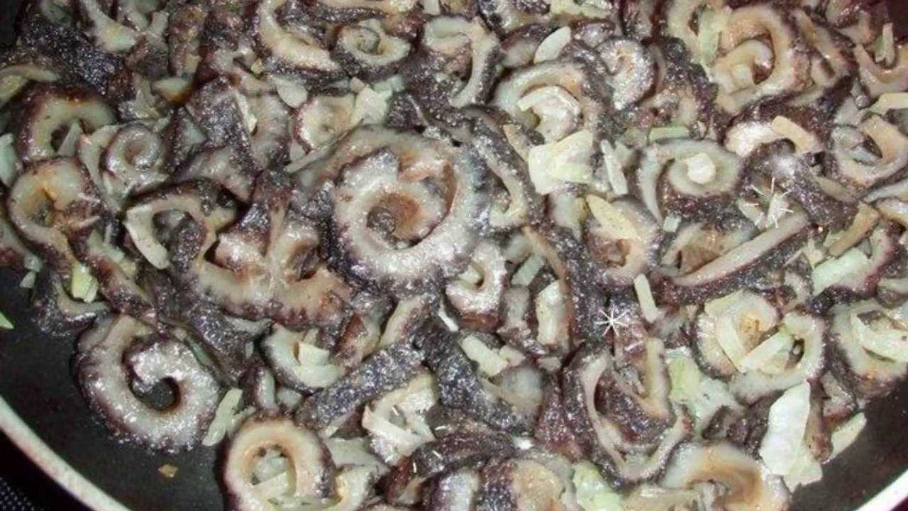 Кукумария: бжу (содержание белков, жиров, углеводов), калорийность, питательная ценность и польза
