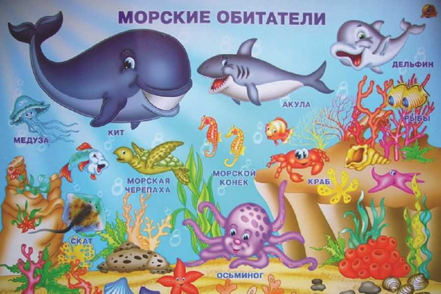 Зомби-черви и акула-гоблин: 10 самых странных тварей марианской впадины