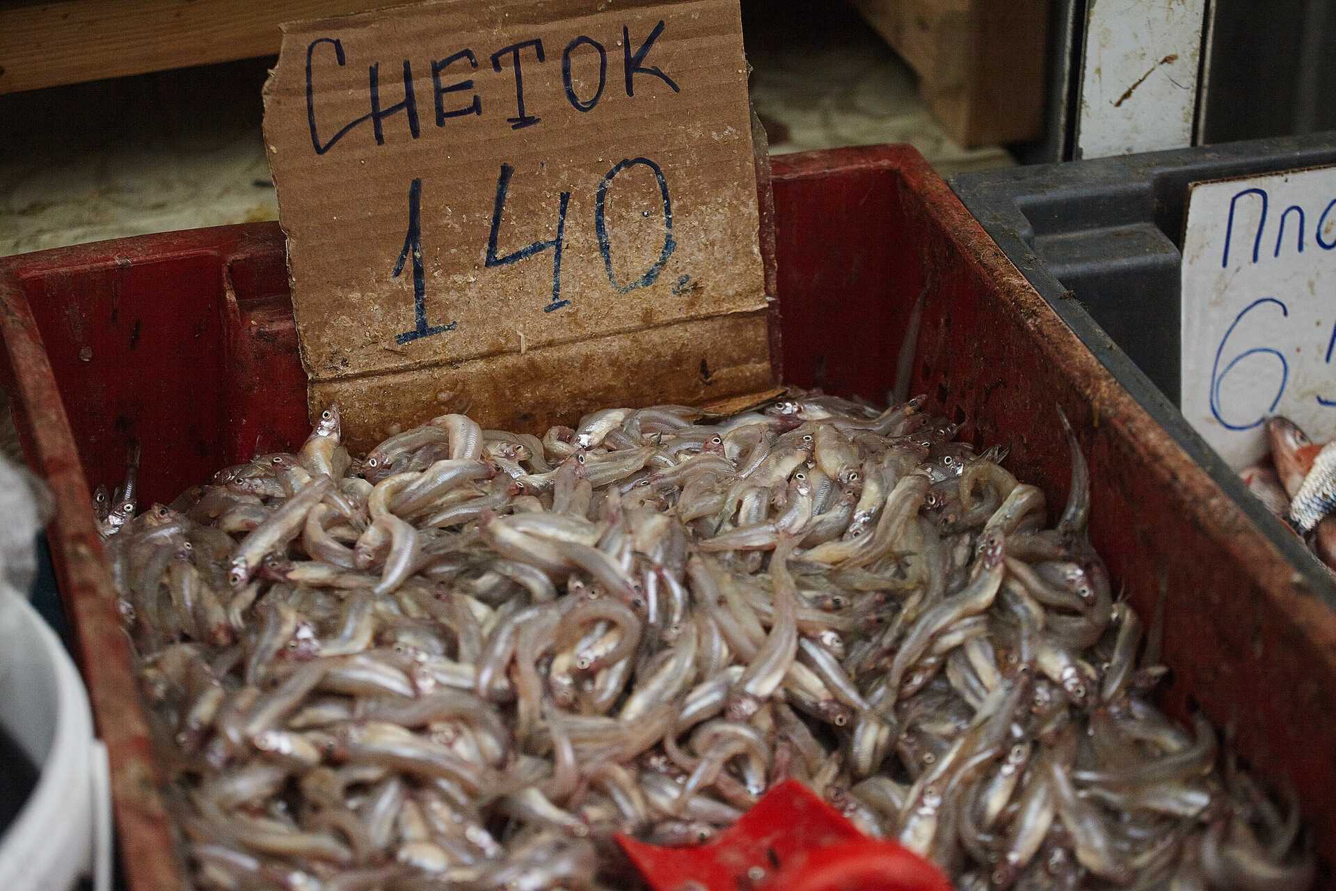 ✅ снеток - fishingopt.su