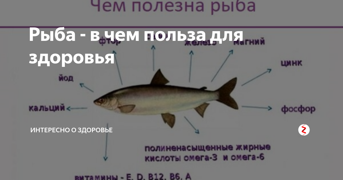 Салака🐟 польза и вред, 12 свойств рыбы для организма, противопоказания