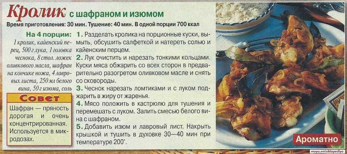 Кролик тушеный в сметане рецепты