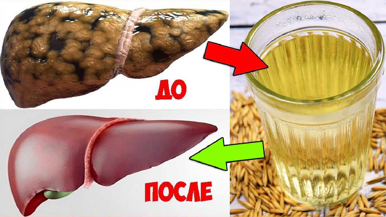 Шашлык из печени куриной. шашлык из куриной печени запечённый в духовке "нежный".