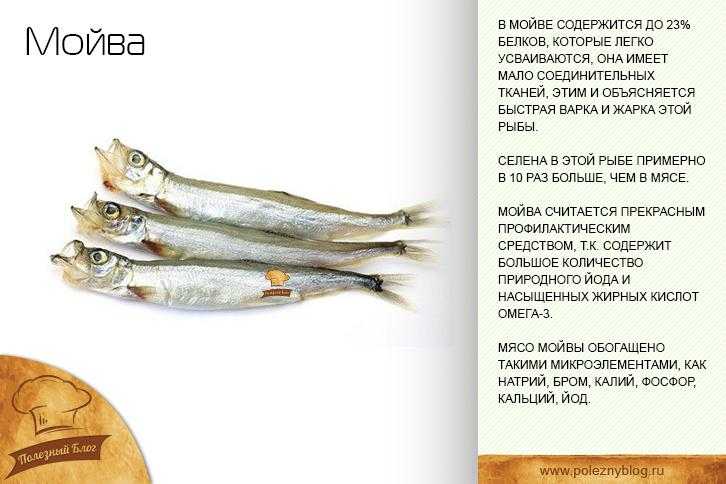 Полезные свойства мойвы Для женщин Для мужчин Для детей Для мышц и костей Для сердца и сосудов Для нервов Для глаз Для бронхов Для ЖКТ Для щитовидки Для половой систе
