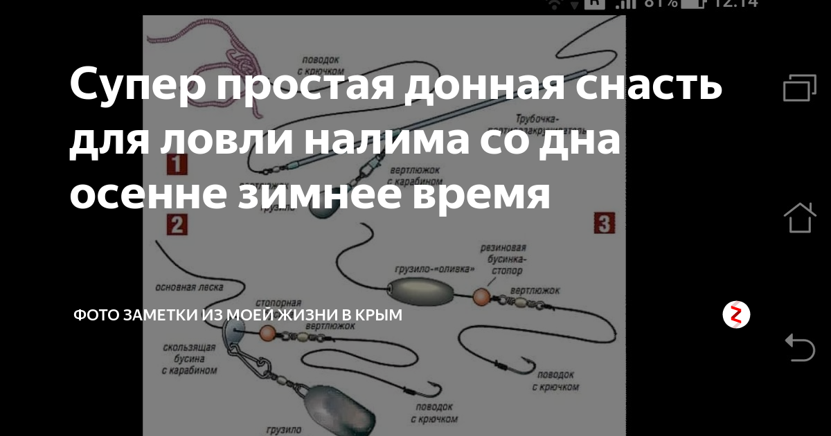 Береговая ловля налима осенью: снасти, оснастка, наживка
