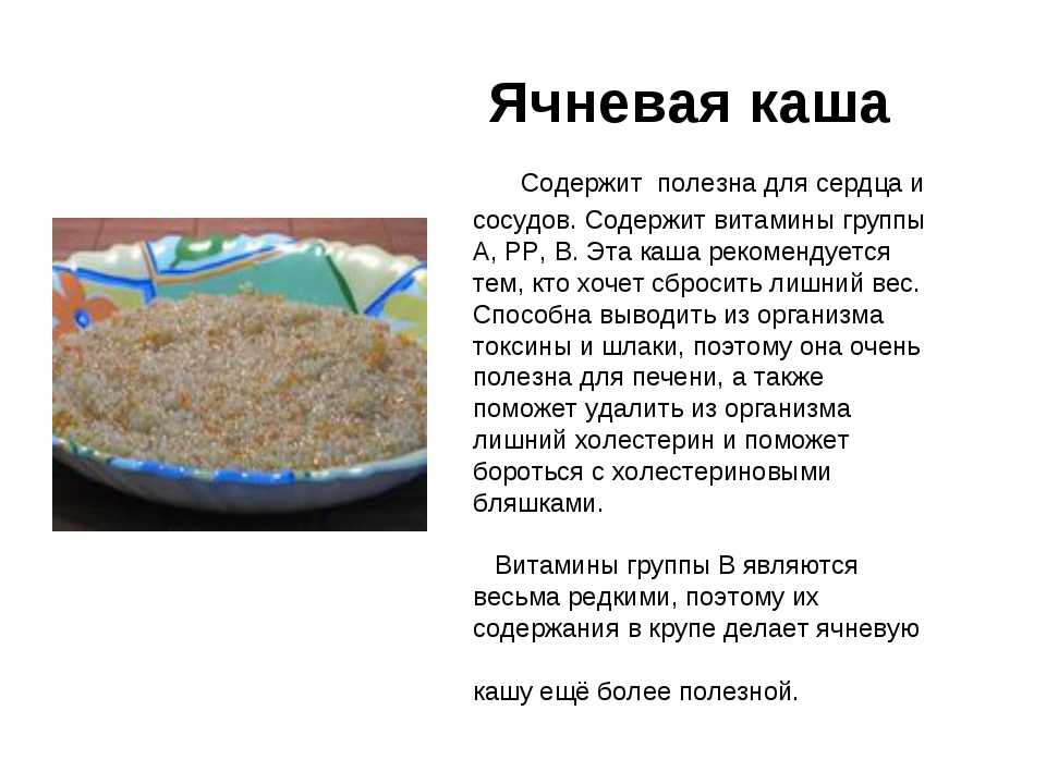 Ячневая каша: как варить на молоке и воде, польза и вред