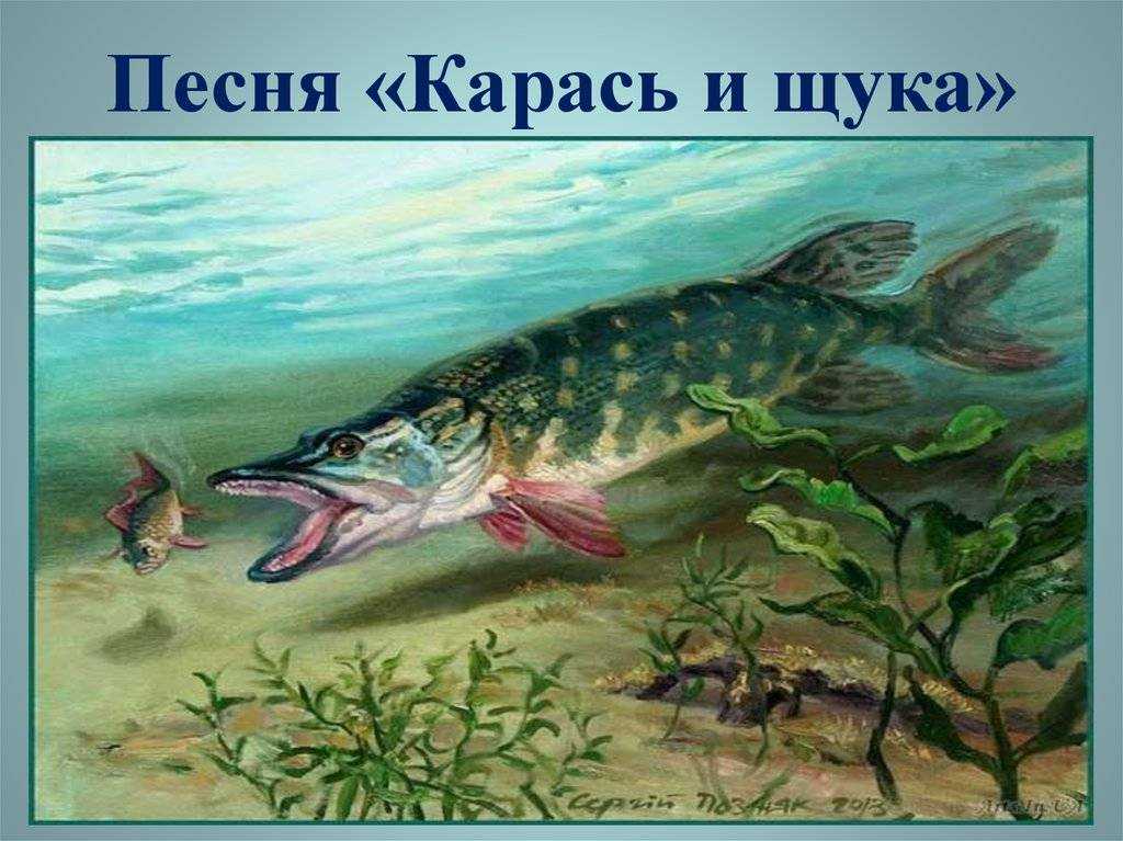 Рыбы гибриды